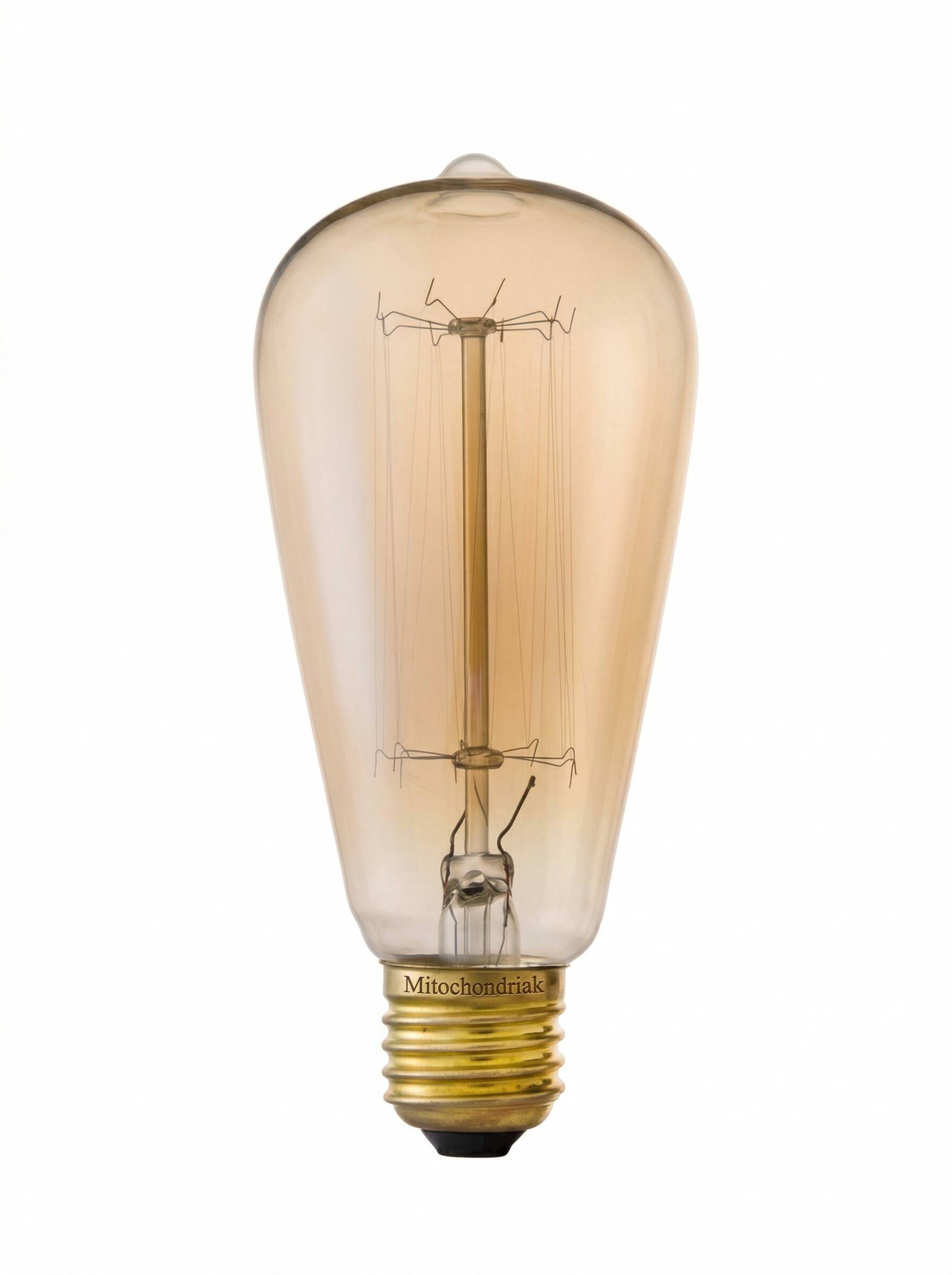 Incandescent bulb Mitochondriak OFF